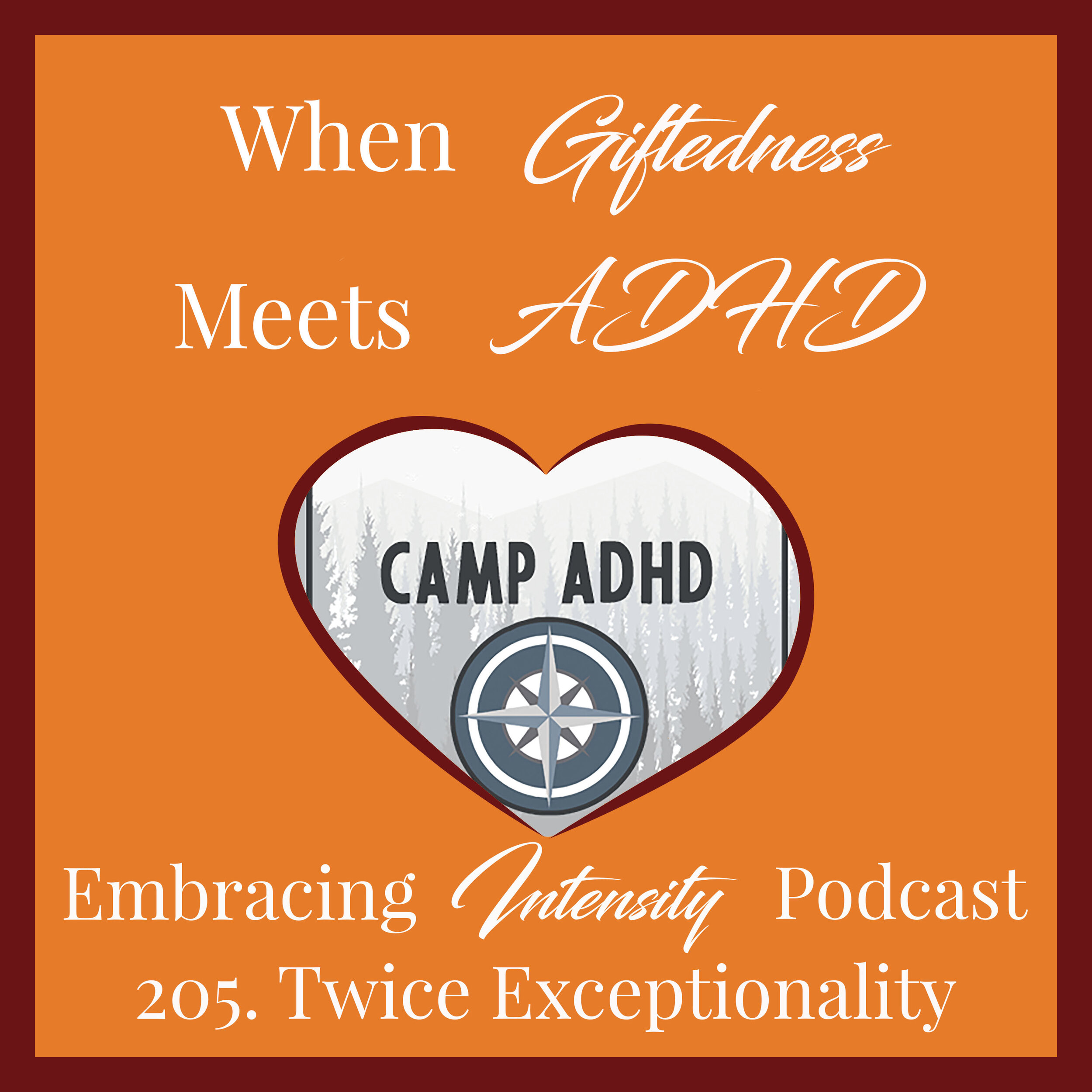 Twice Exceptionality - When Giftedness Meets ADHD