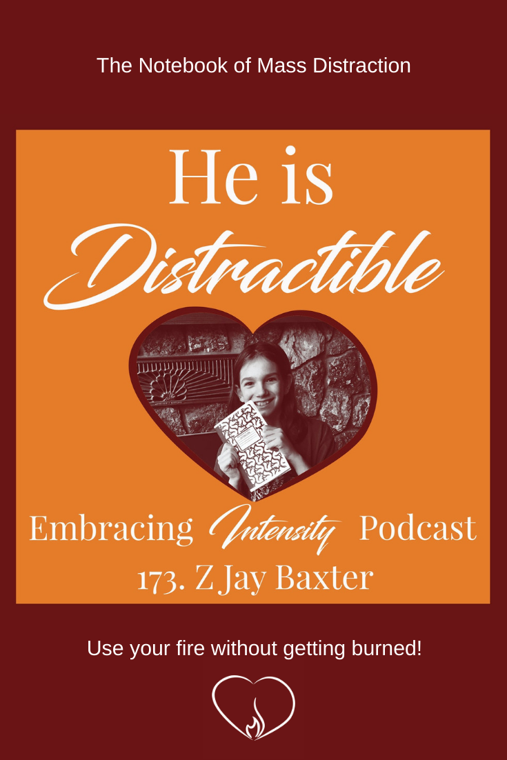 The Notebook of Mass Distraction with Z Jay Baxter