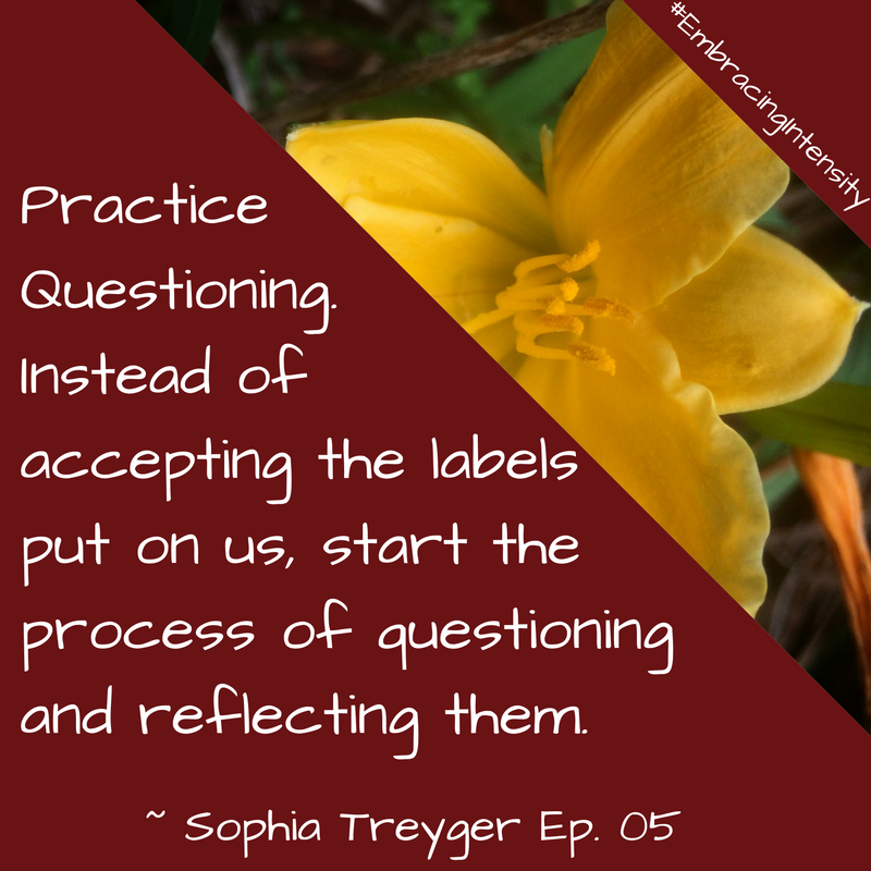 Practice questioning instead of accepting the labels put on us, start the process of questioning and reflecting on them. ~ Embracing Intensity Podcast ep. 05: The Intersection of Intensity and Intimacy with Sophia Treyger