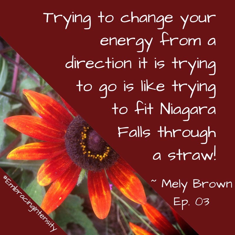 Trying to change your energy from a direction it is trying to go is like trying to fit Niagra Falls through a straw! ~ Embracing Intensity Podcast ep. 03: Self-Care for the Highly Sensitive Woman with Mely Brown