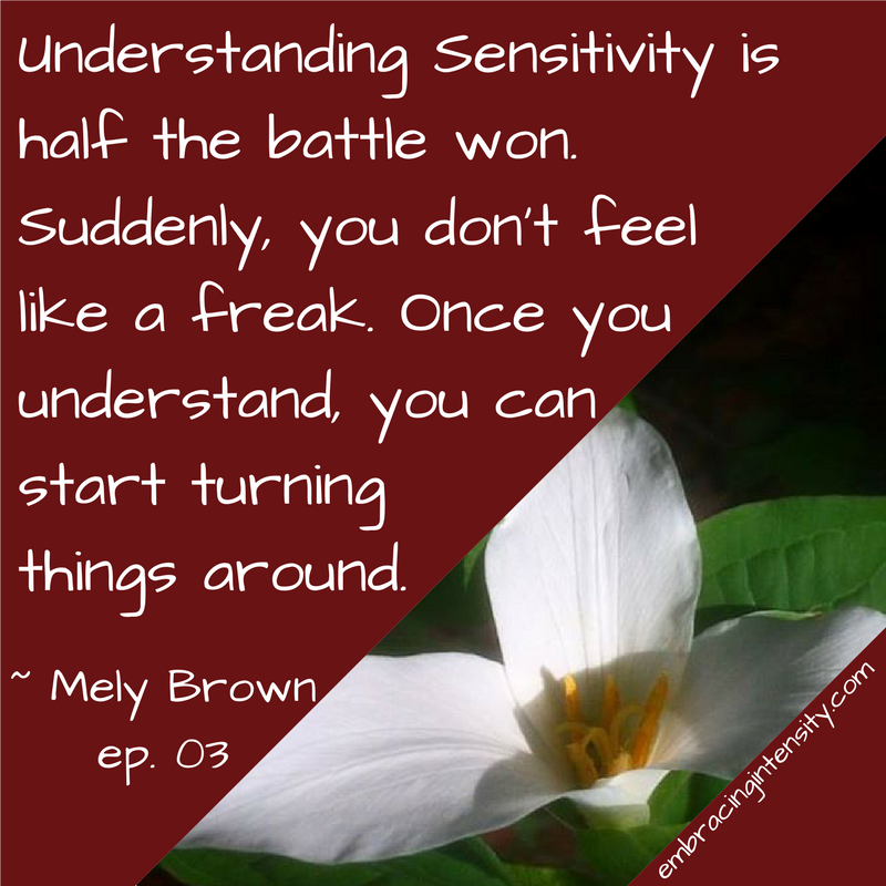 Embracing Intensity Understanding Sensitivity is half the battle won. Suddenly, you don't feel like a freak. Once you understand, you can start turning things around. ~ Embracing Intensity Podcast ep. 03: Self-Care for the Highly Sensitive Woman wit…