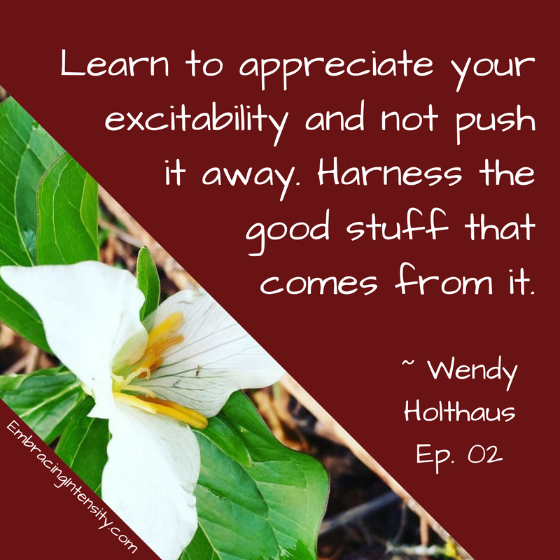 Learn to appreciate your excitability and not push it away. Harness the good stuff that comes from it. ~ Wendy Holthaus on Embracing Intensity Podcast ep. 02